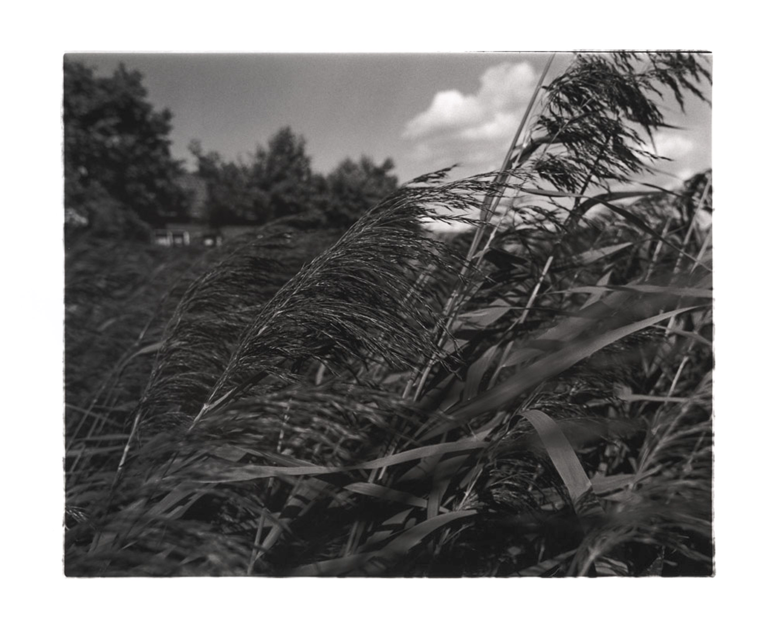 Feld-1.jpg