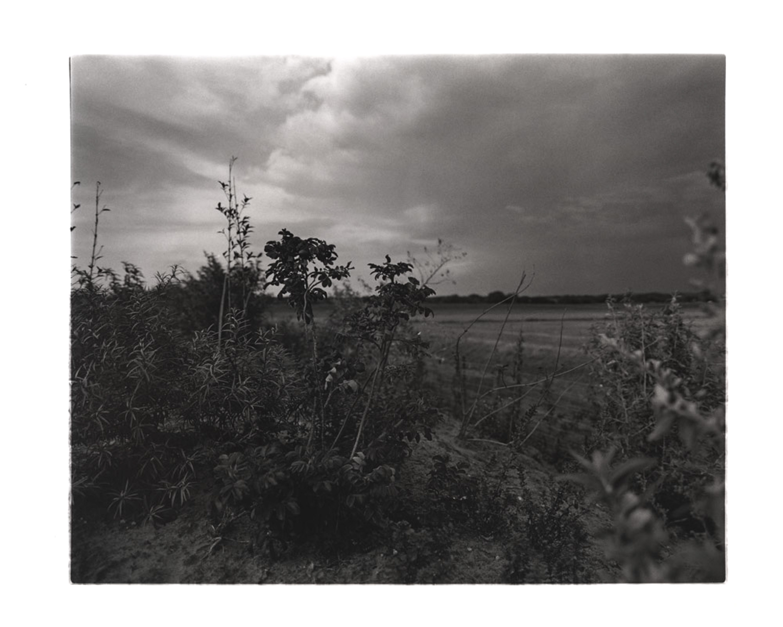 Feld-3.jpg
