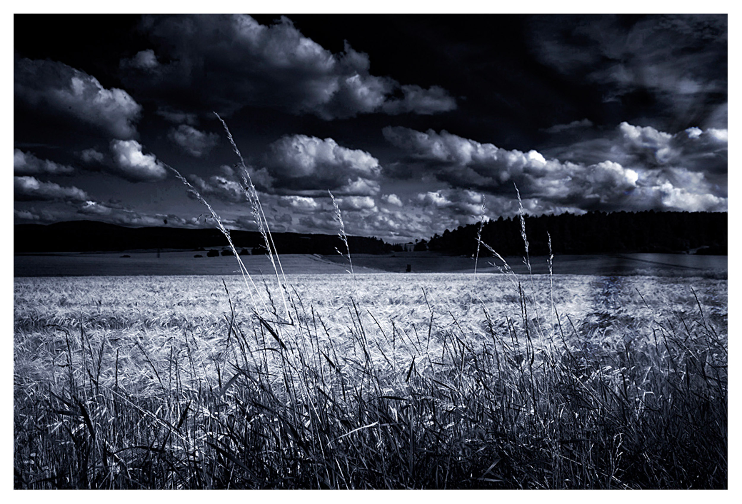 Thomas Laubscher Lanscape006.jpg