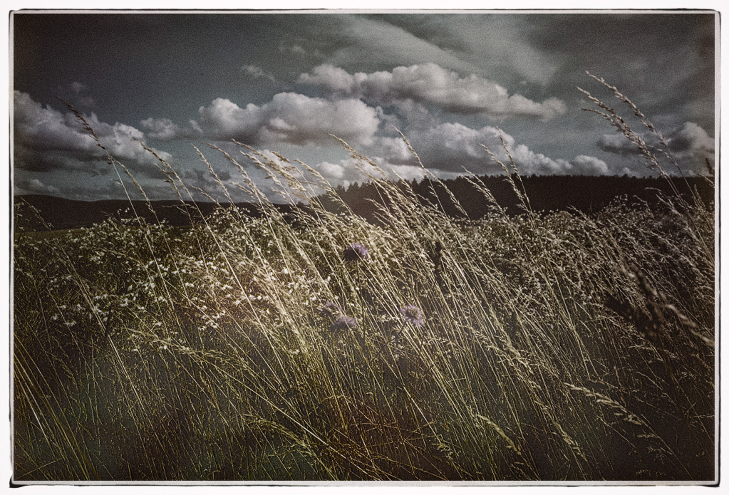 Thomas Laubscher Lanscape037.jpg