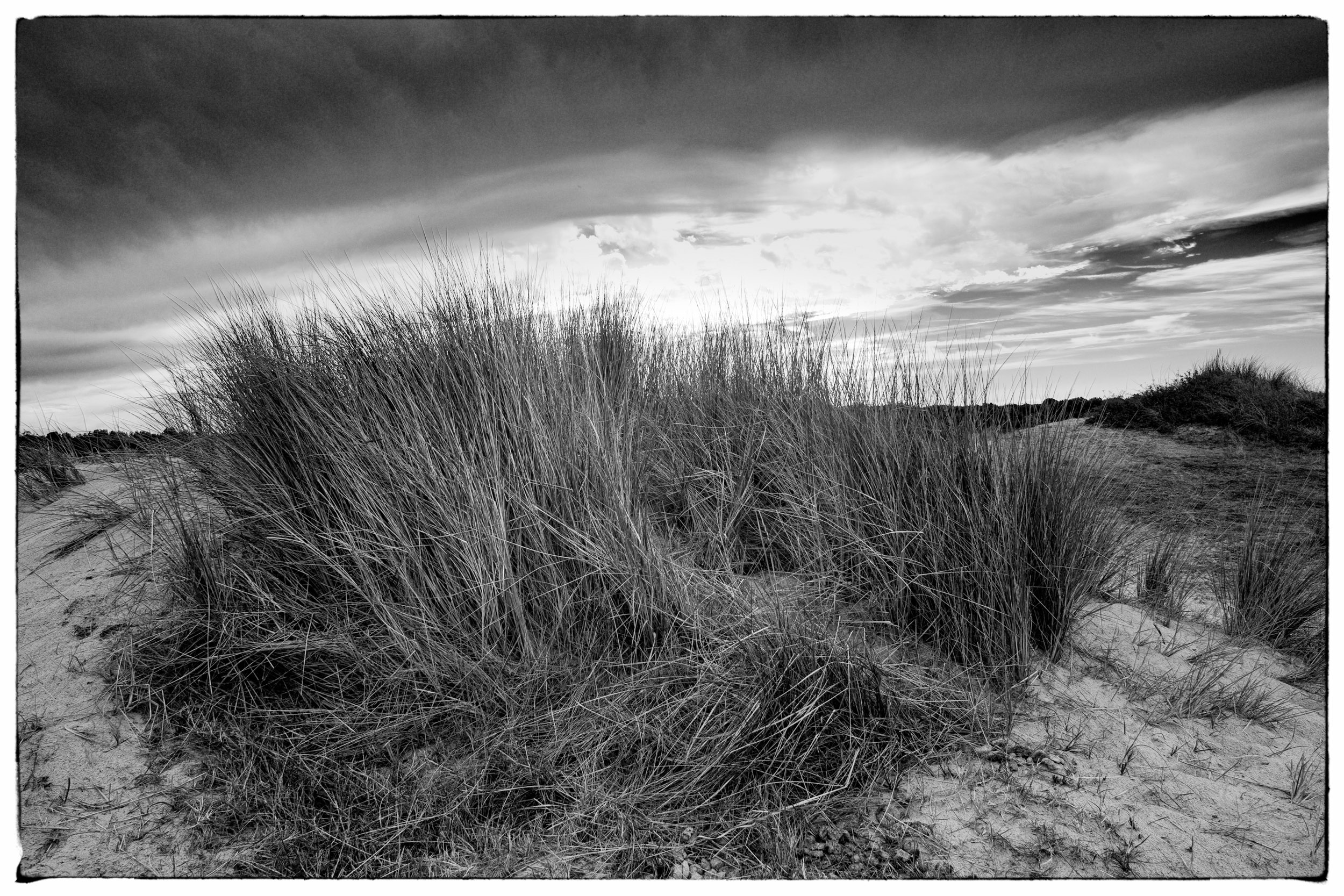 Thomas Laubscher Lanscape045.jpg