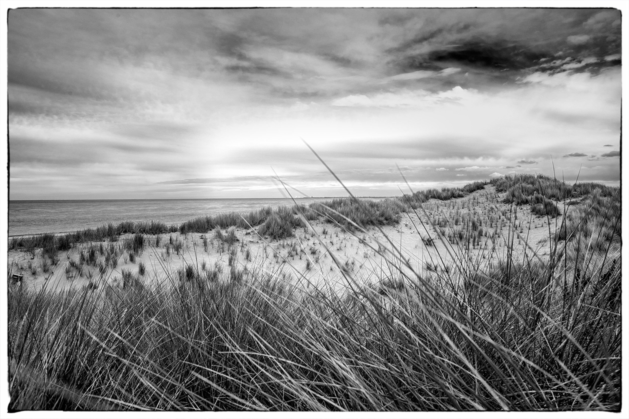 Thomas Laubscher Lanscape047.jpg