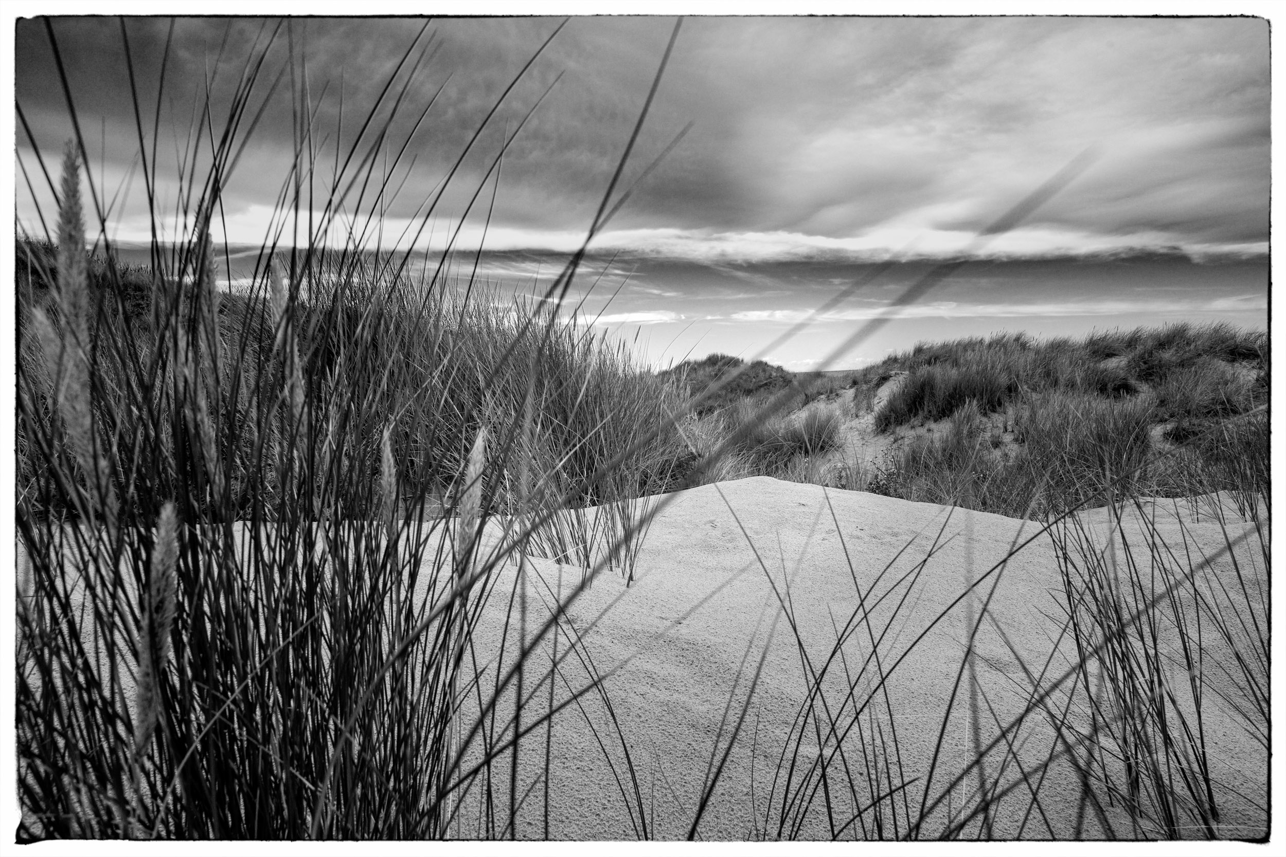 Thomas Laubscher Lanscape048.jpg