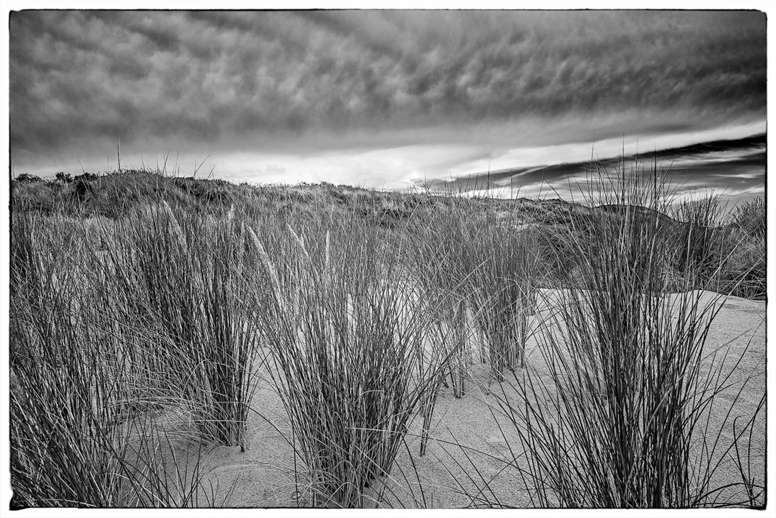 Thomas Laubscher Lanscape049.jpg