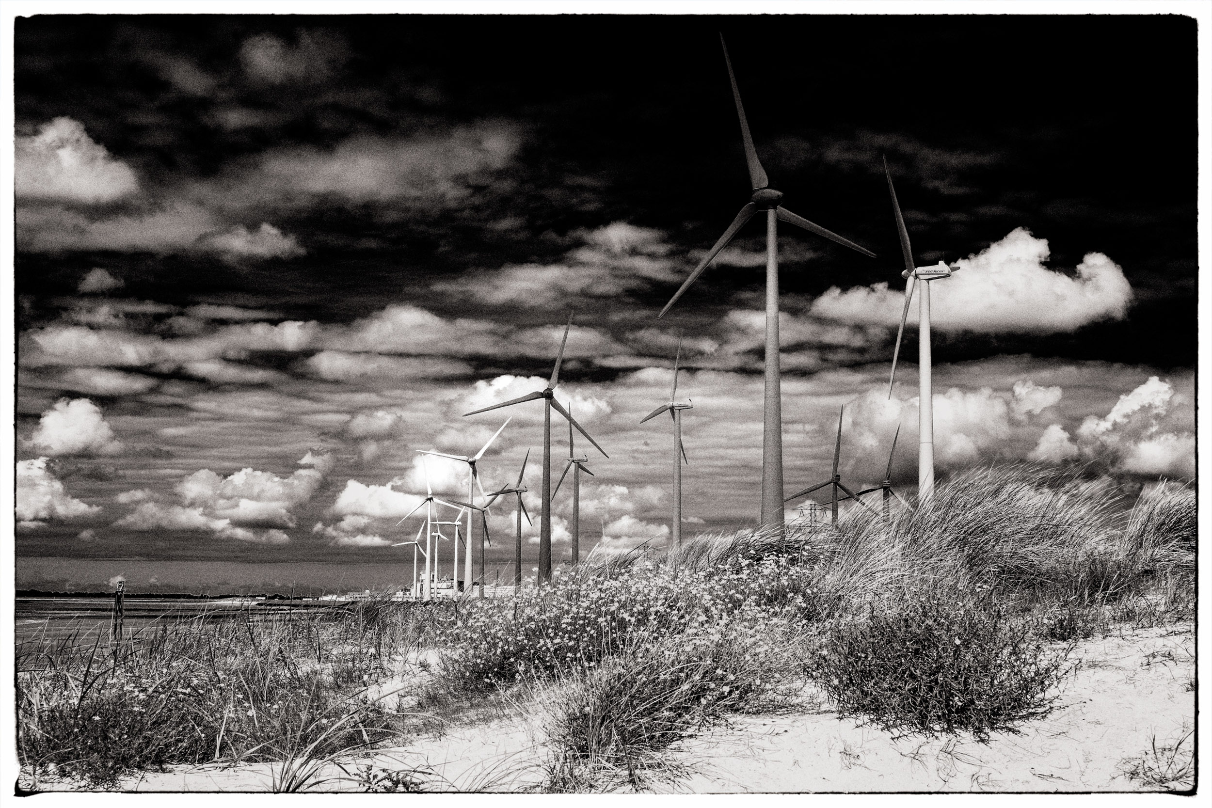 Thomas Laubscher Lanscape060.jpg
