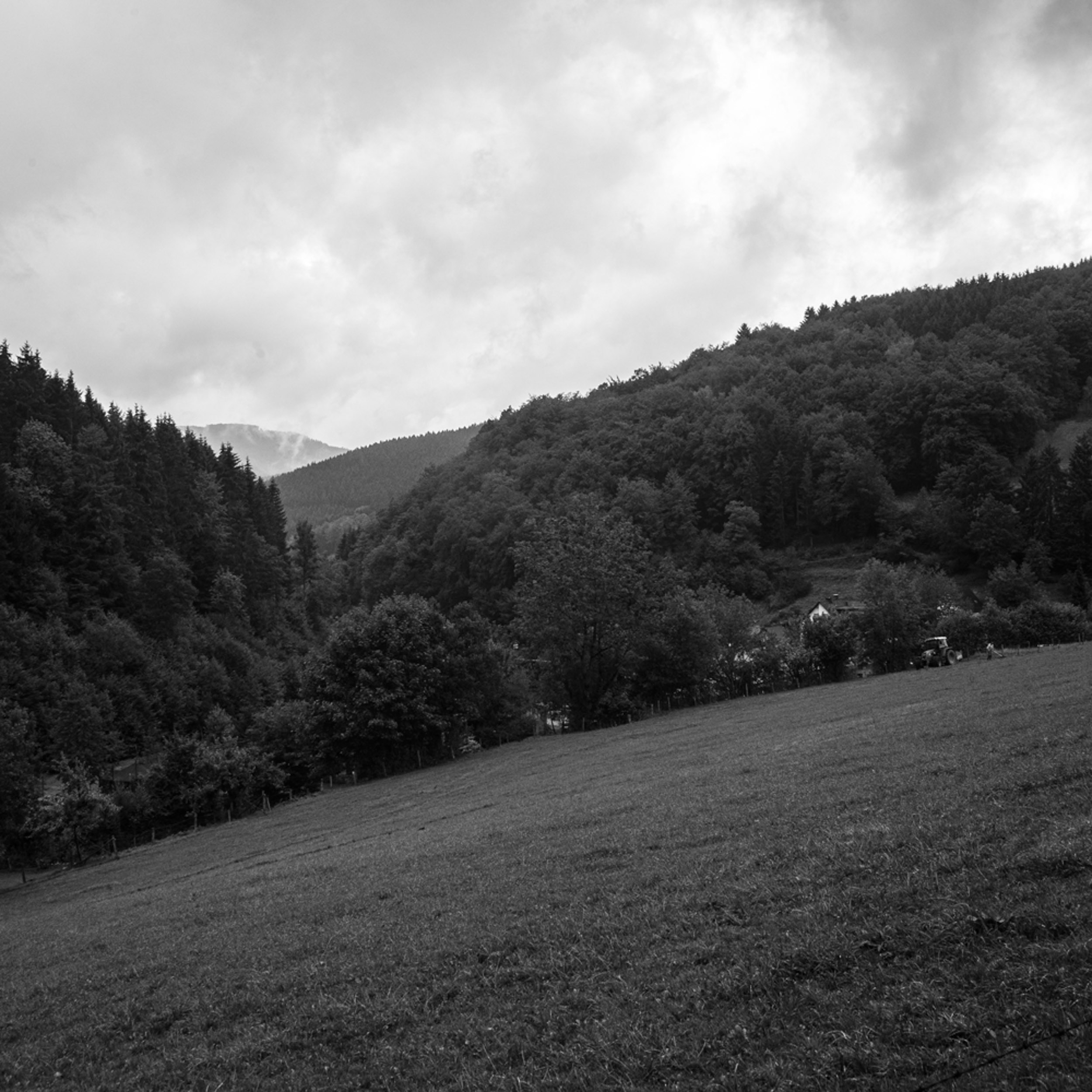 Heimes Hof-2885.jpg