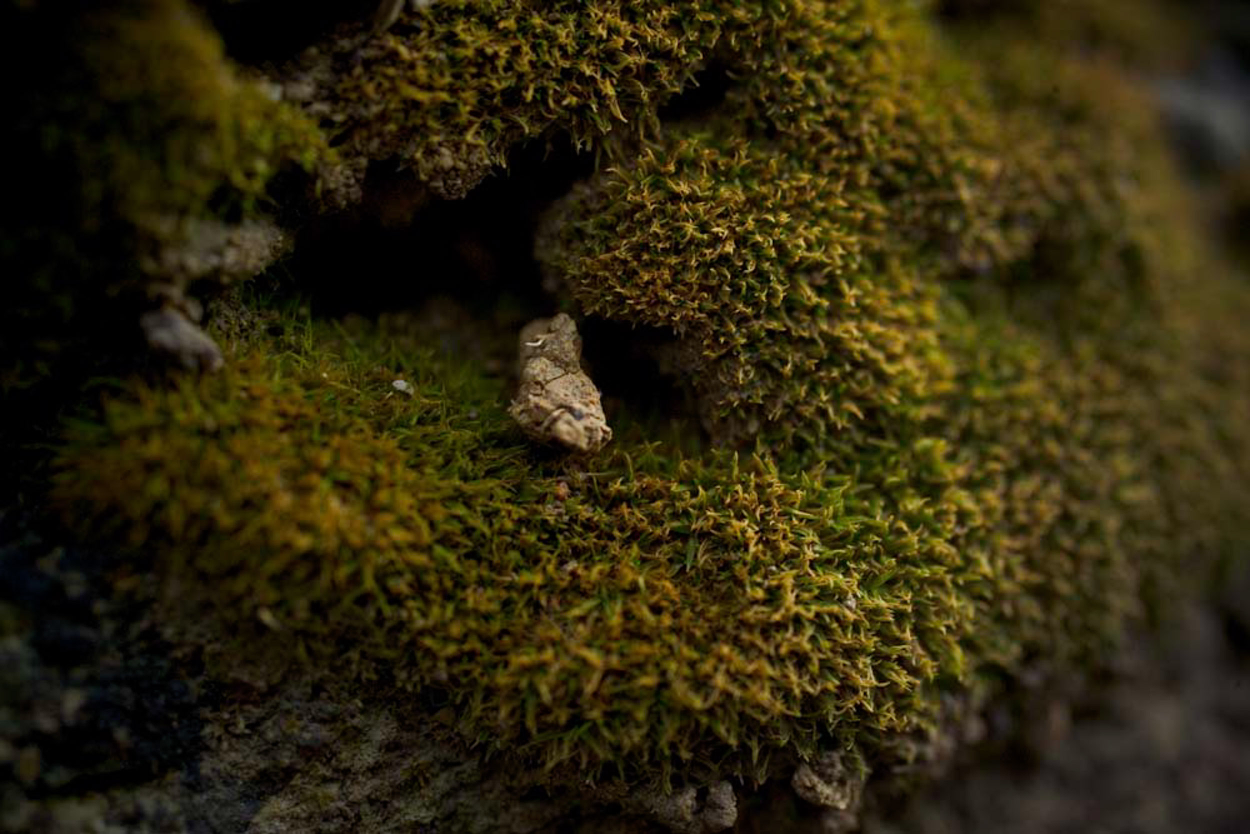 NahDran-06122009-9459.jpg