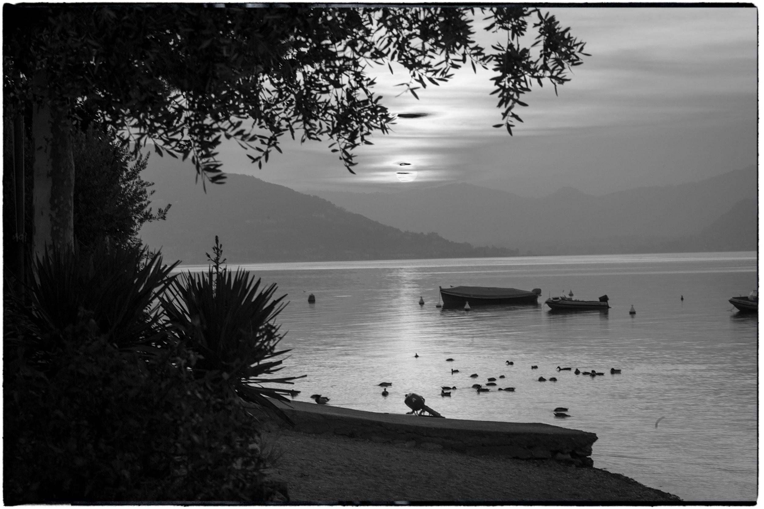 ISEO B&W-1.jpg