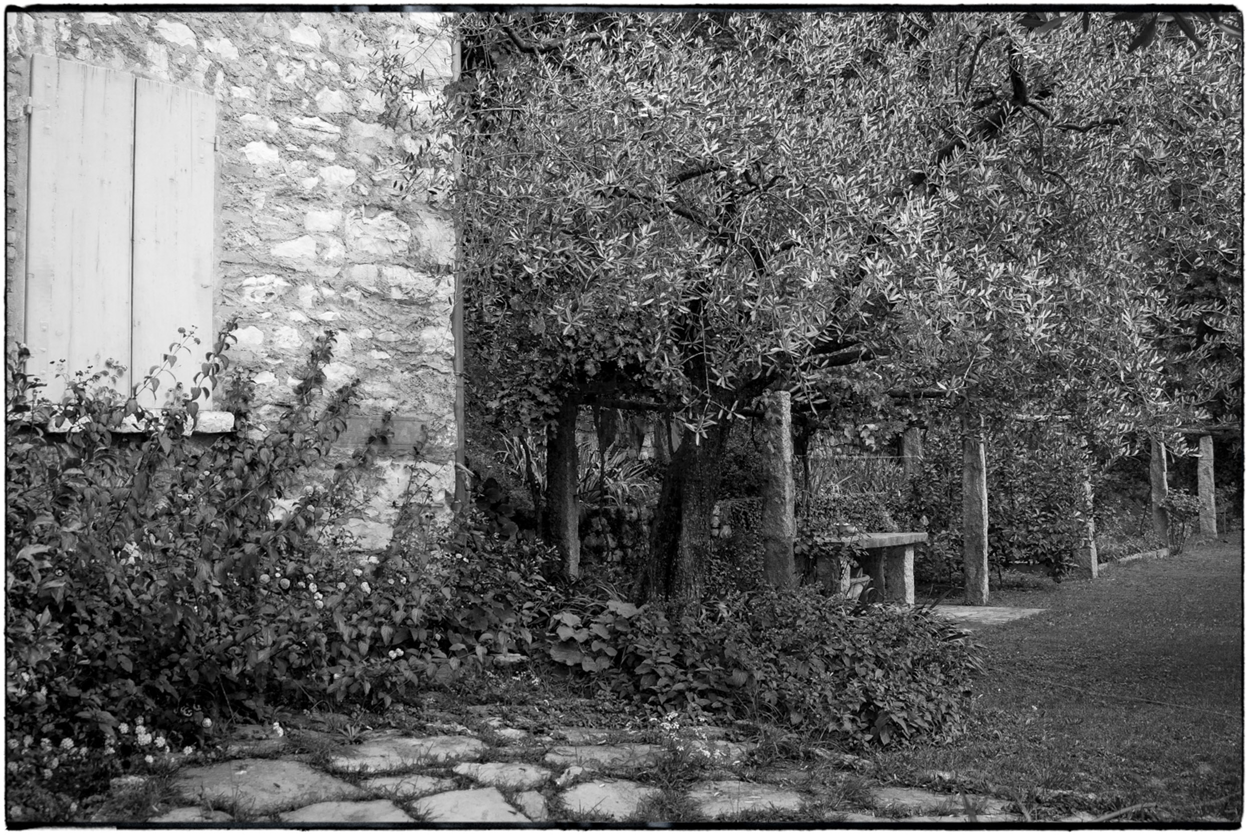 ISEO B&W-15.jpg