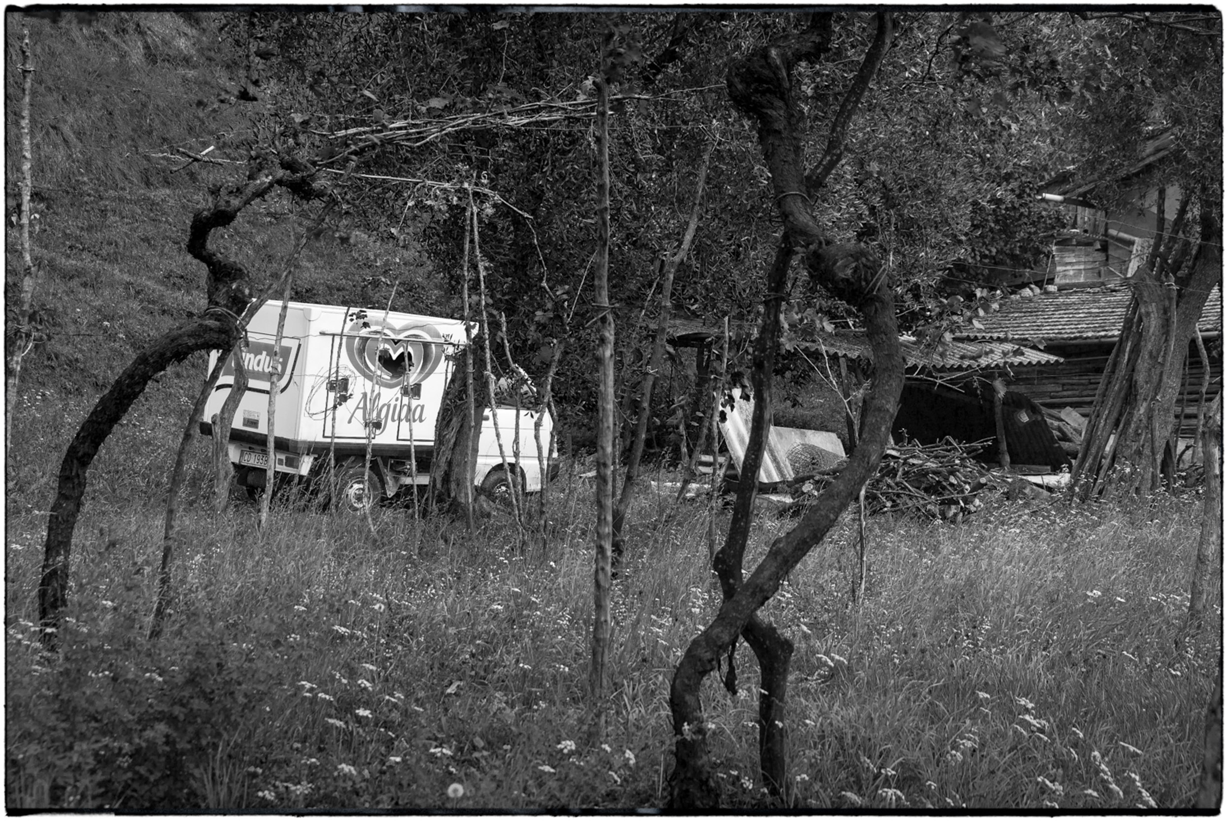 ISEO B&W-17.jpg