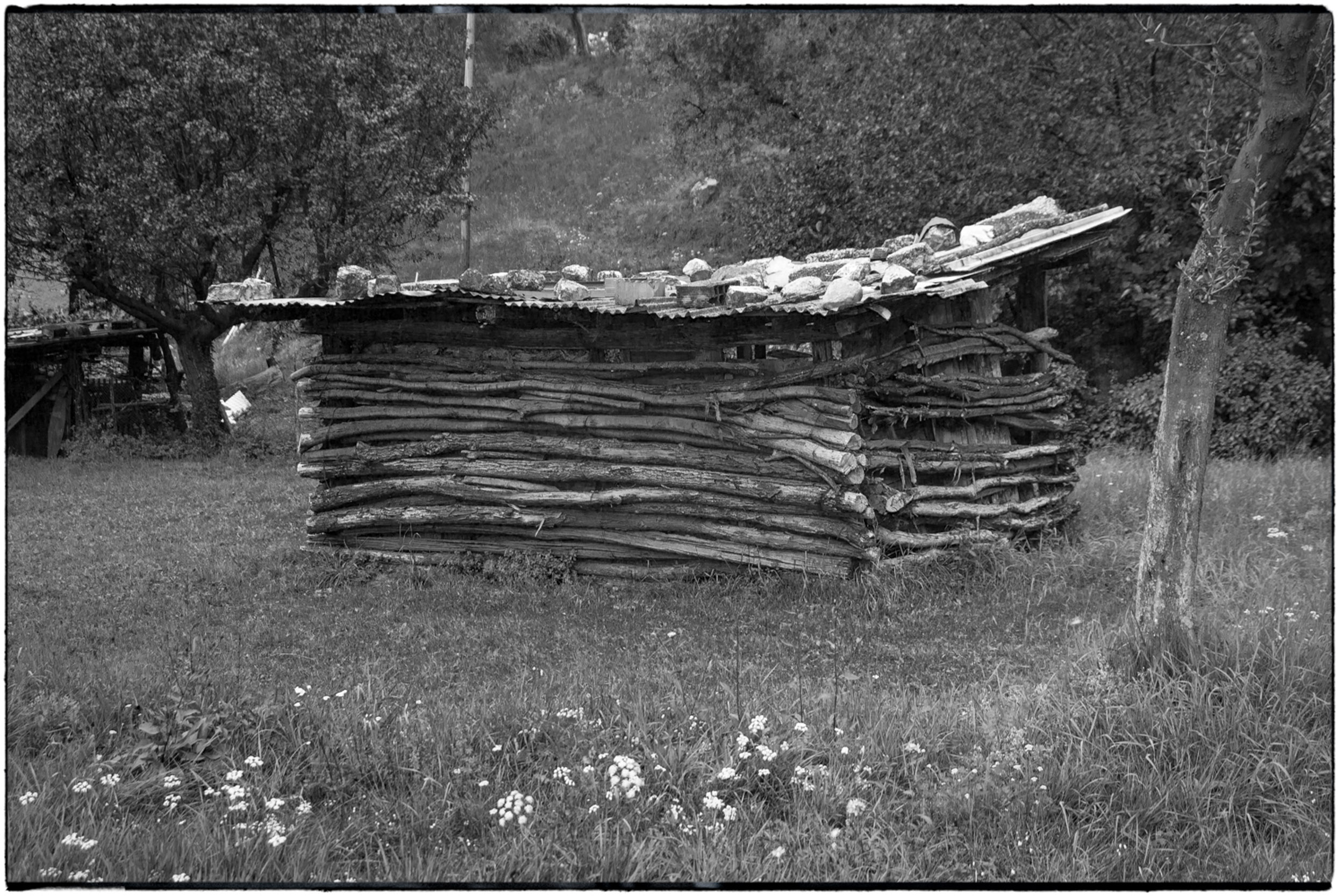 ISEO B&W-18.jpg