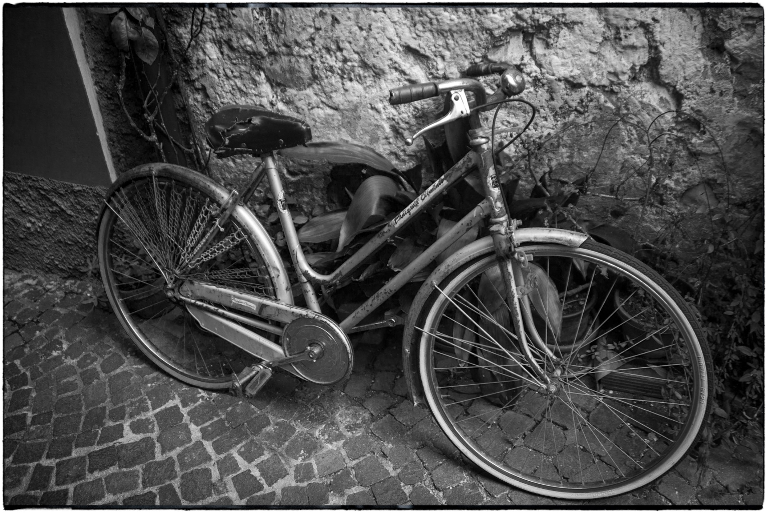 ISEO B&W-25.jpg