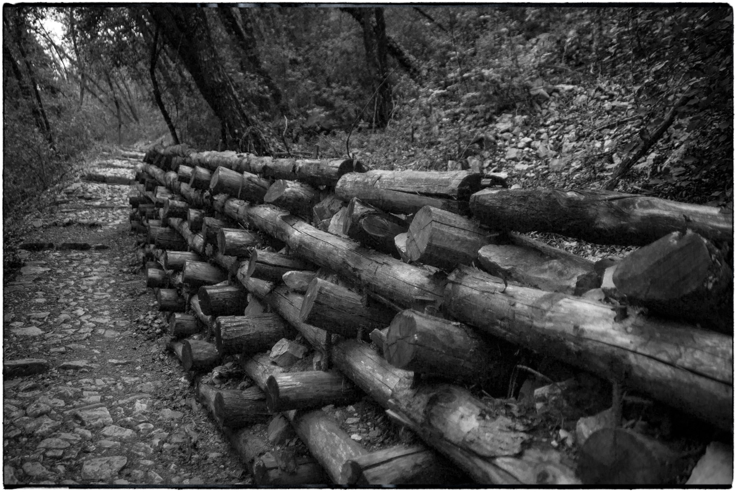 ISEO B&W-27.jpg