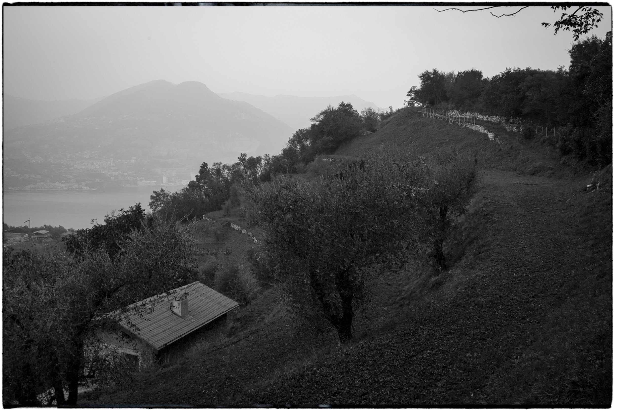 ISEO B&W-28.jpg