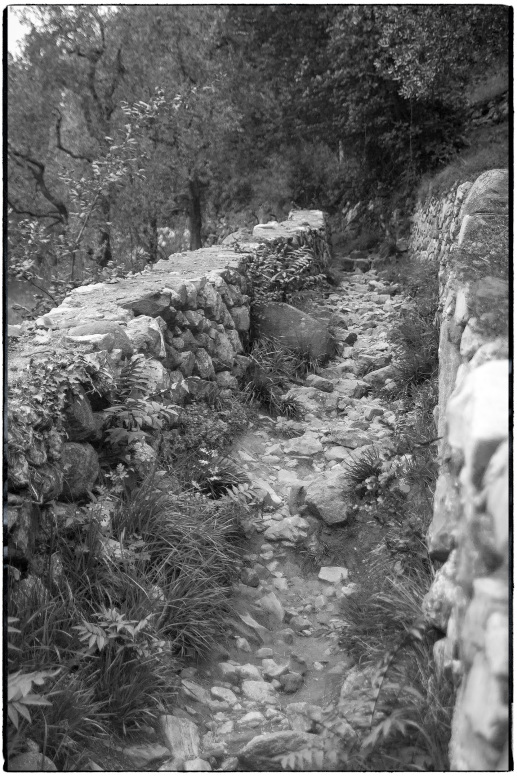ISEO B&W-40.tif