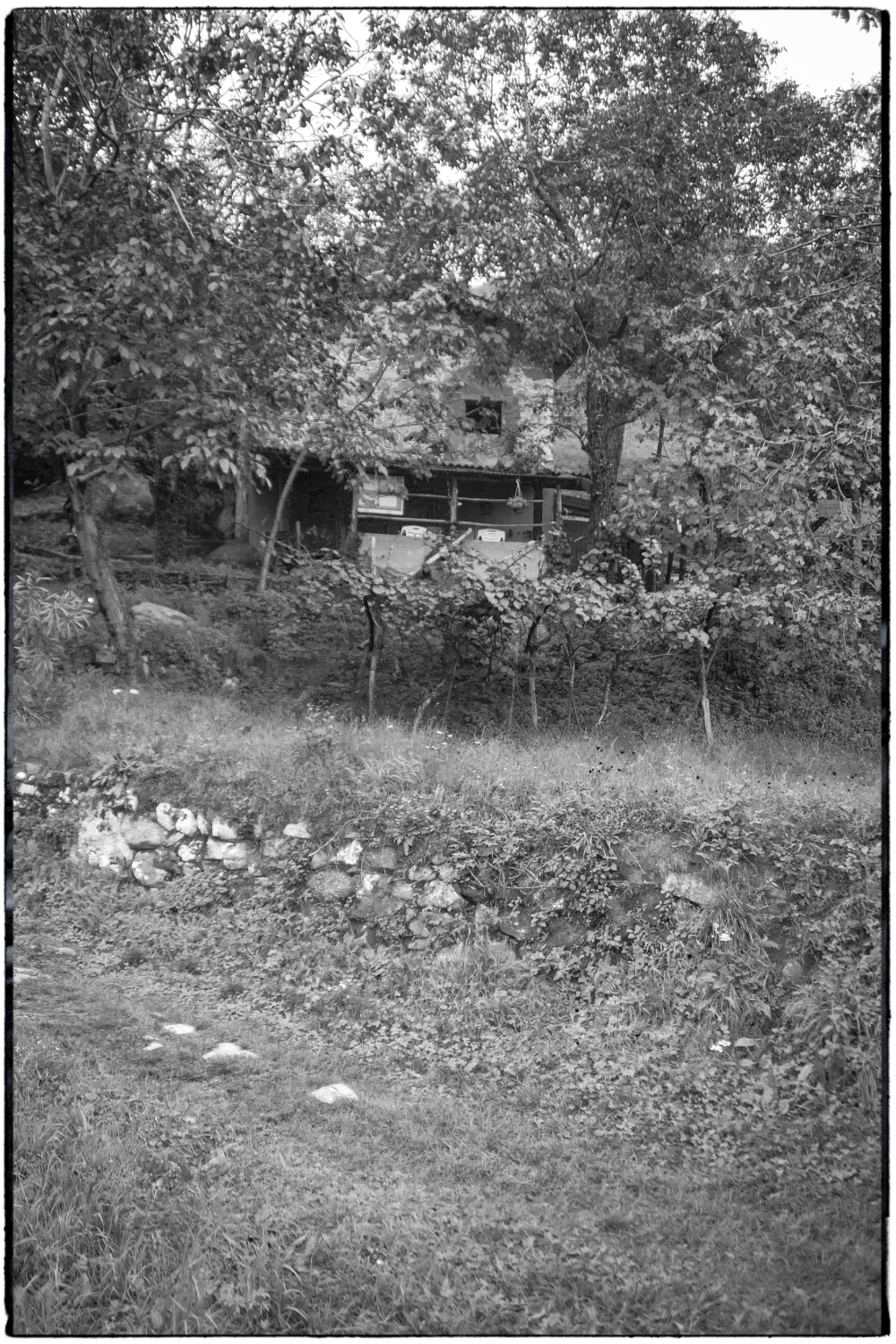 ISEO B&W-42.tif
