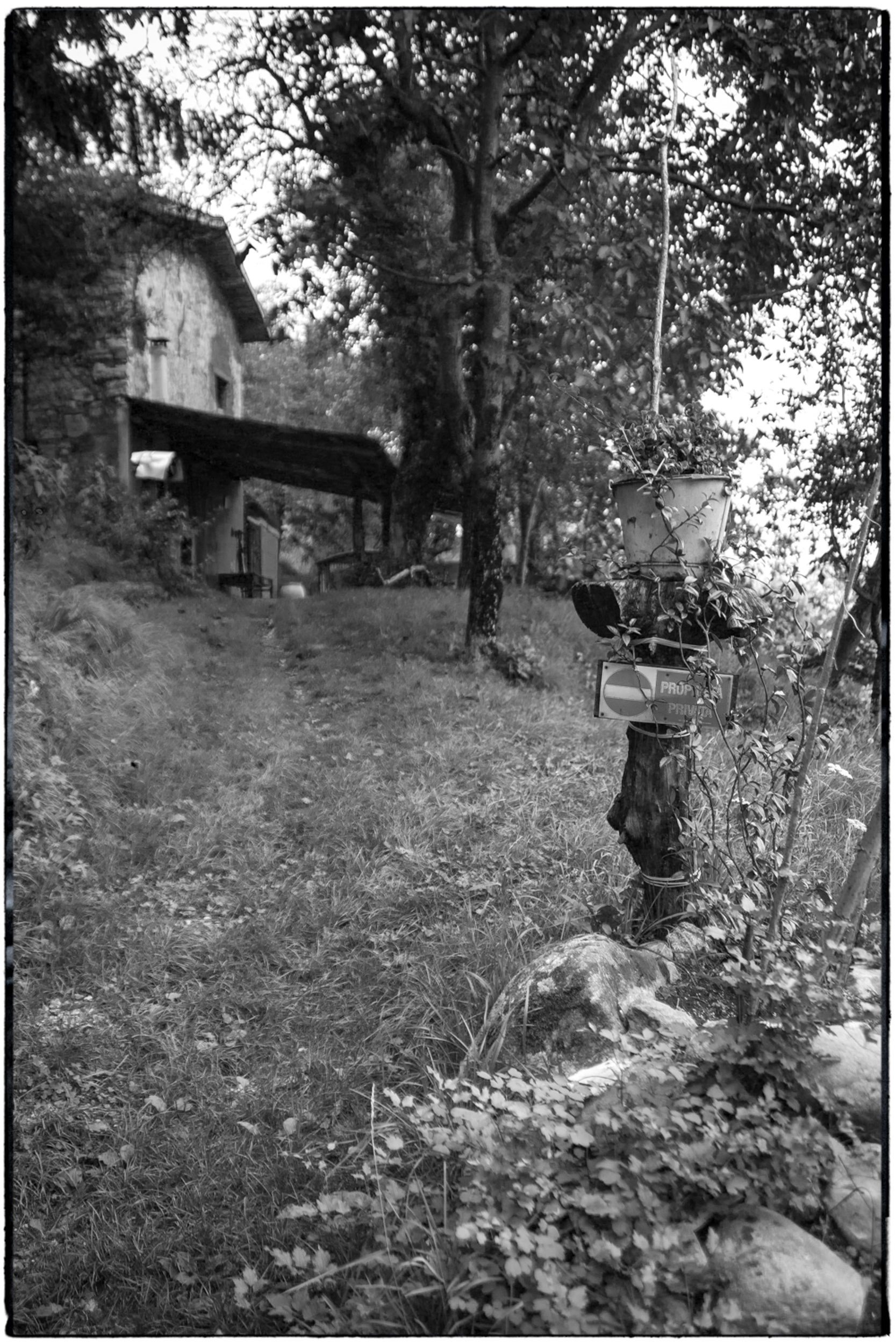 ISEO B&W-43.tif