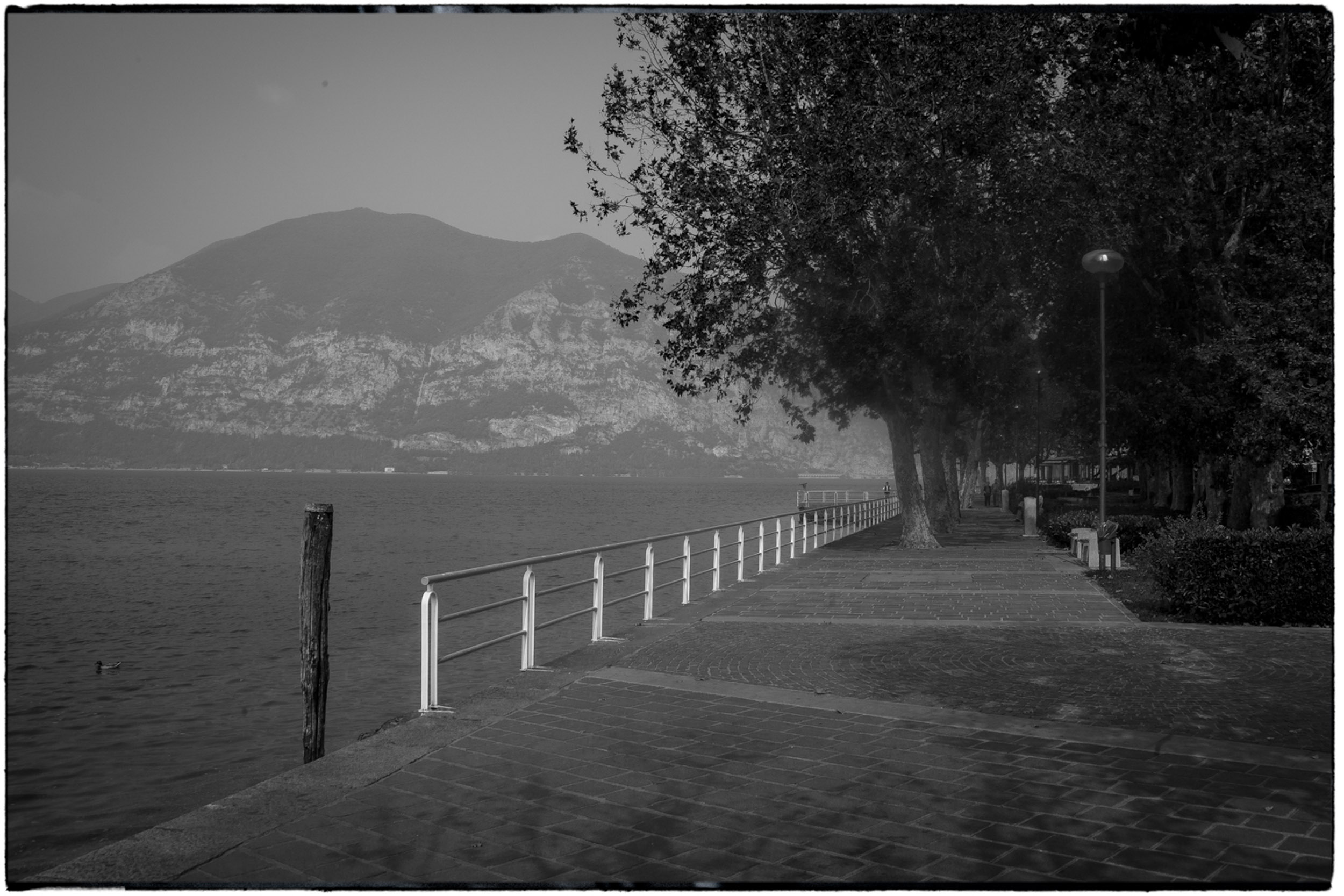 ISEO B&W-9.jpg