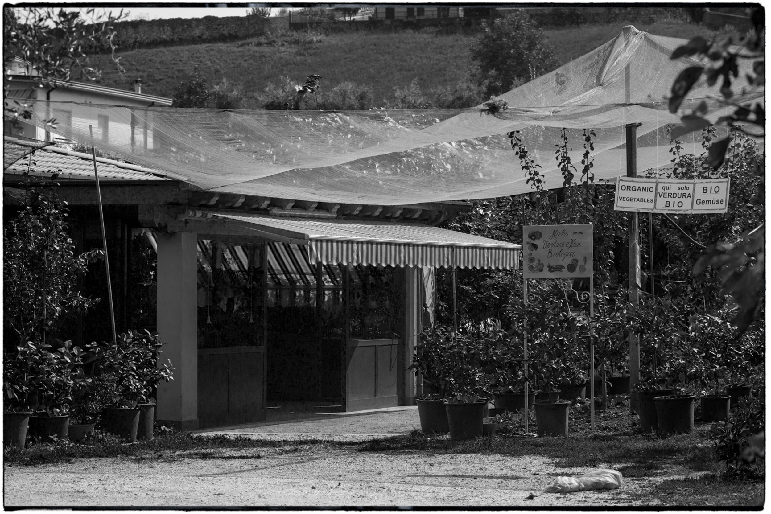 ISEO B&W-09.jpg