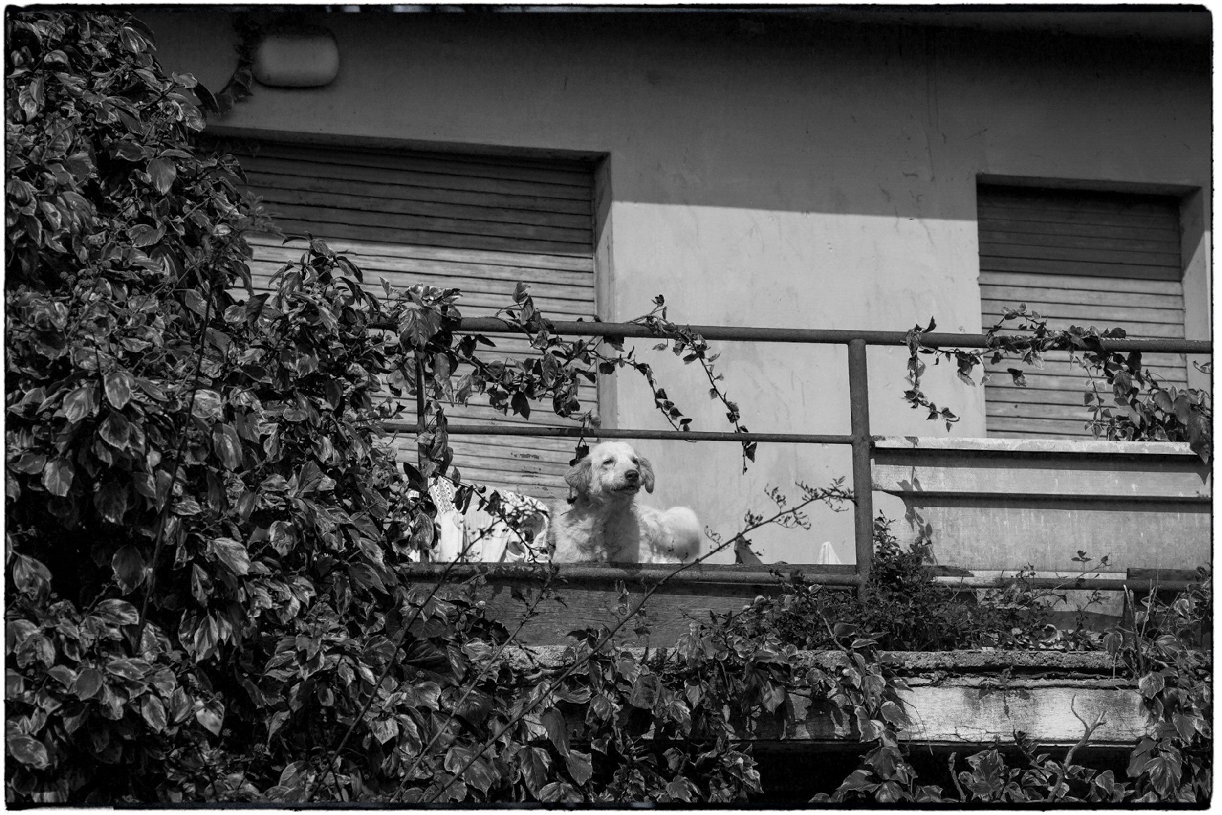 ISEO B&W-16.jpg