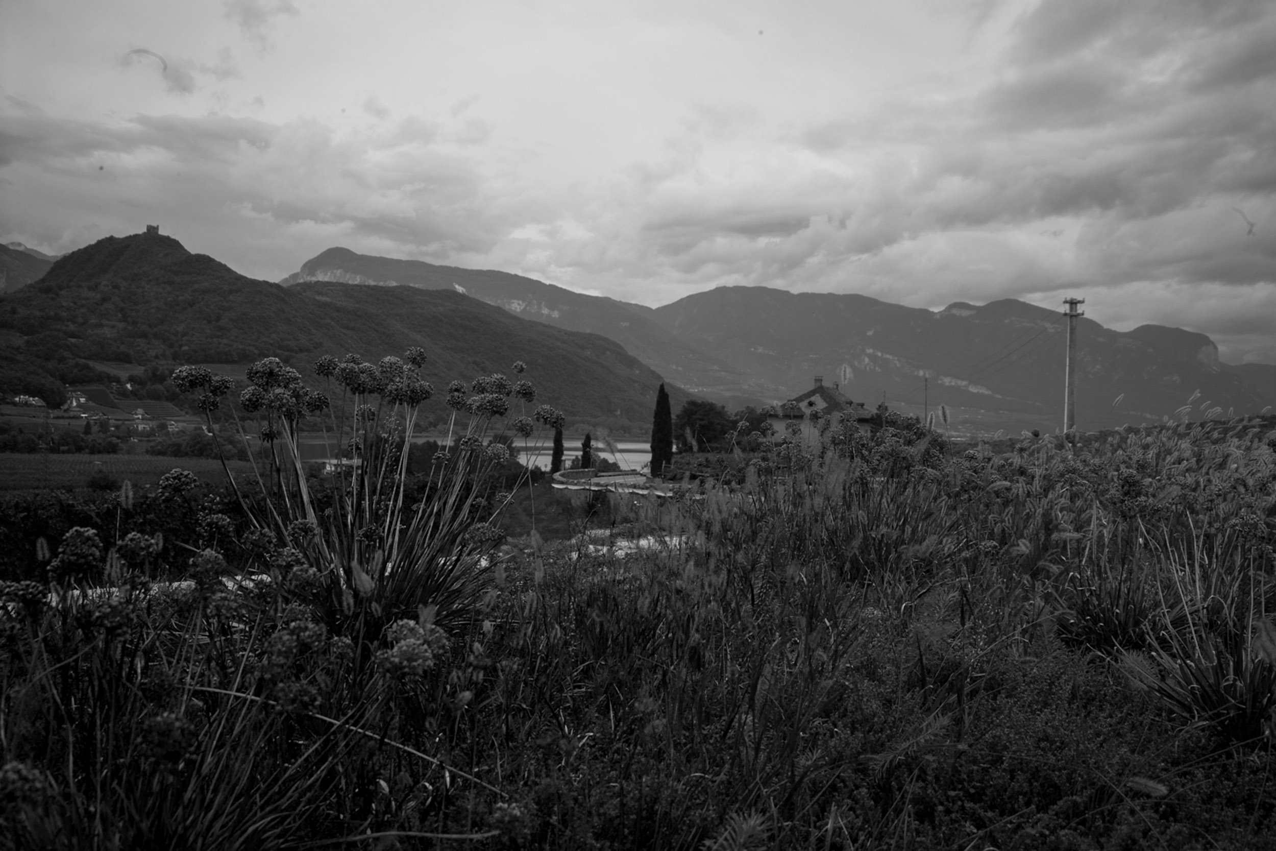 Salo B&W-12.jpg