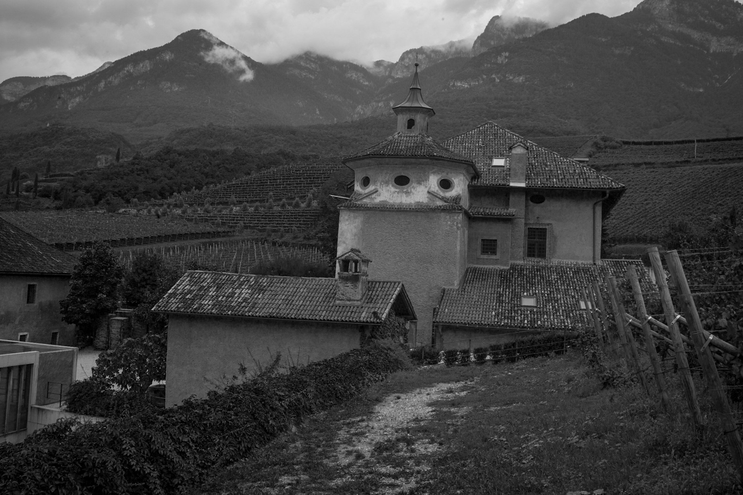 Salo B&W-14.jpg