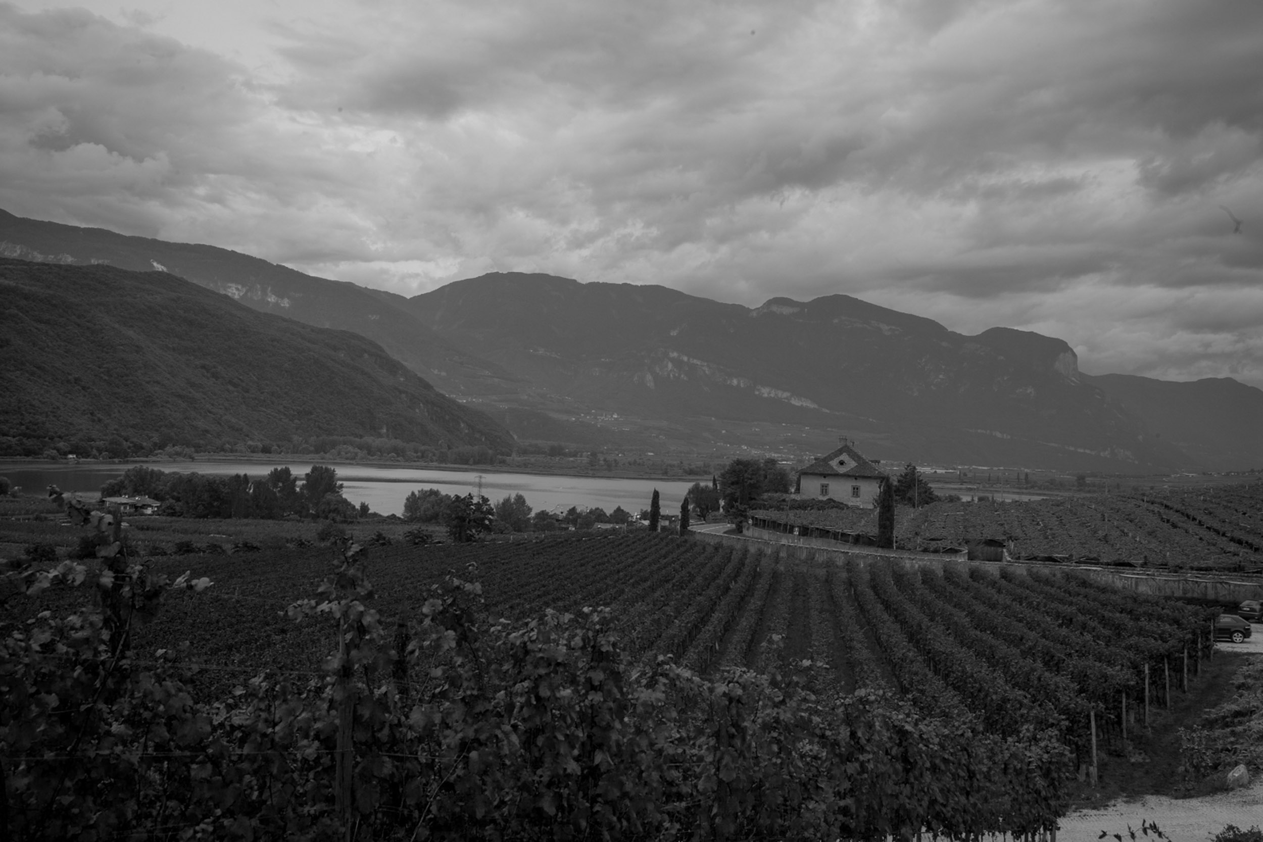 Salo B&W-16.jpg