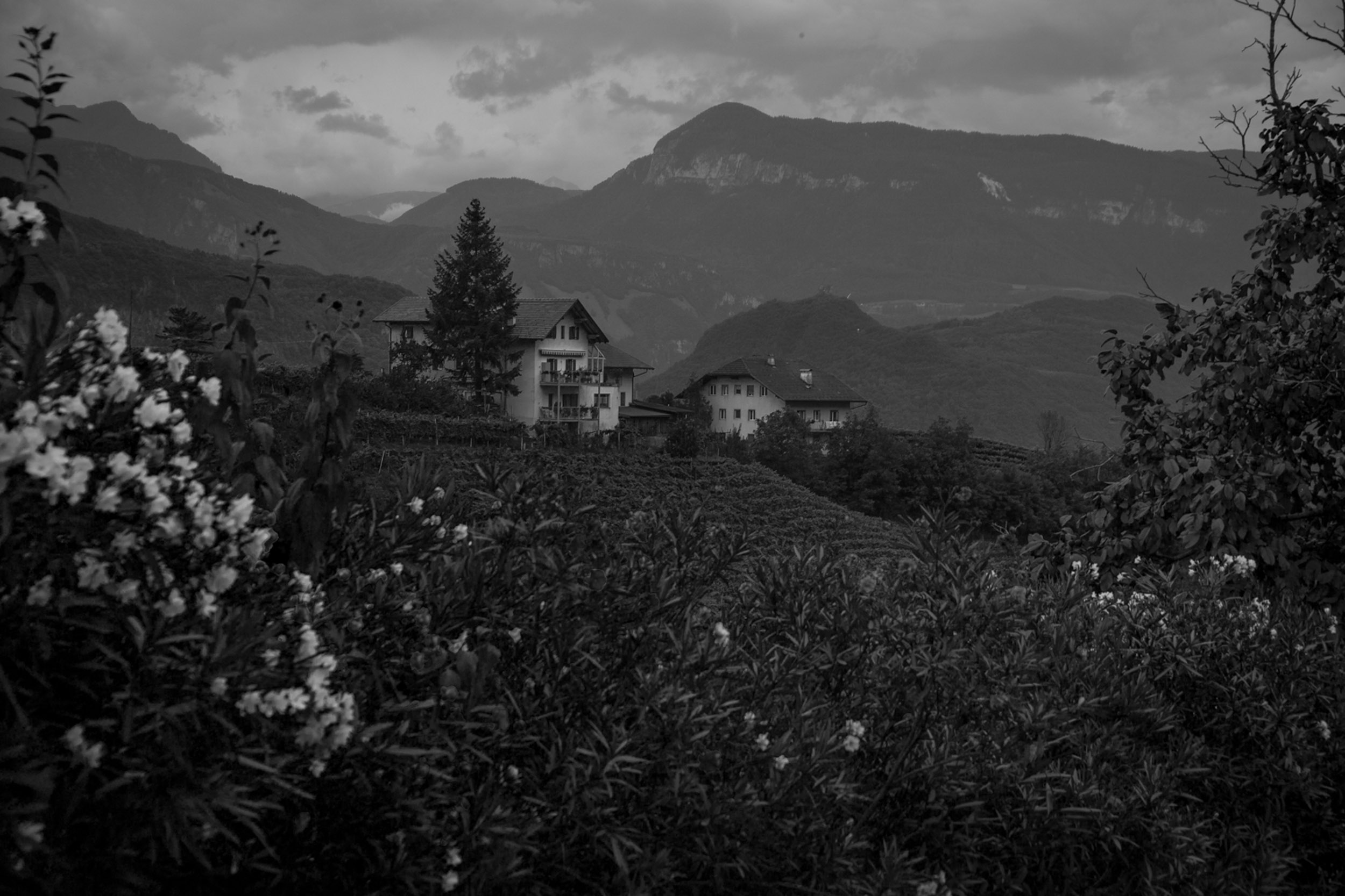 Salo B&W-19.jpg