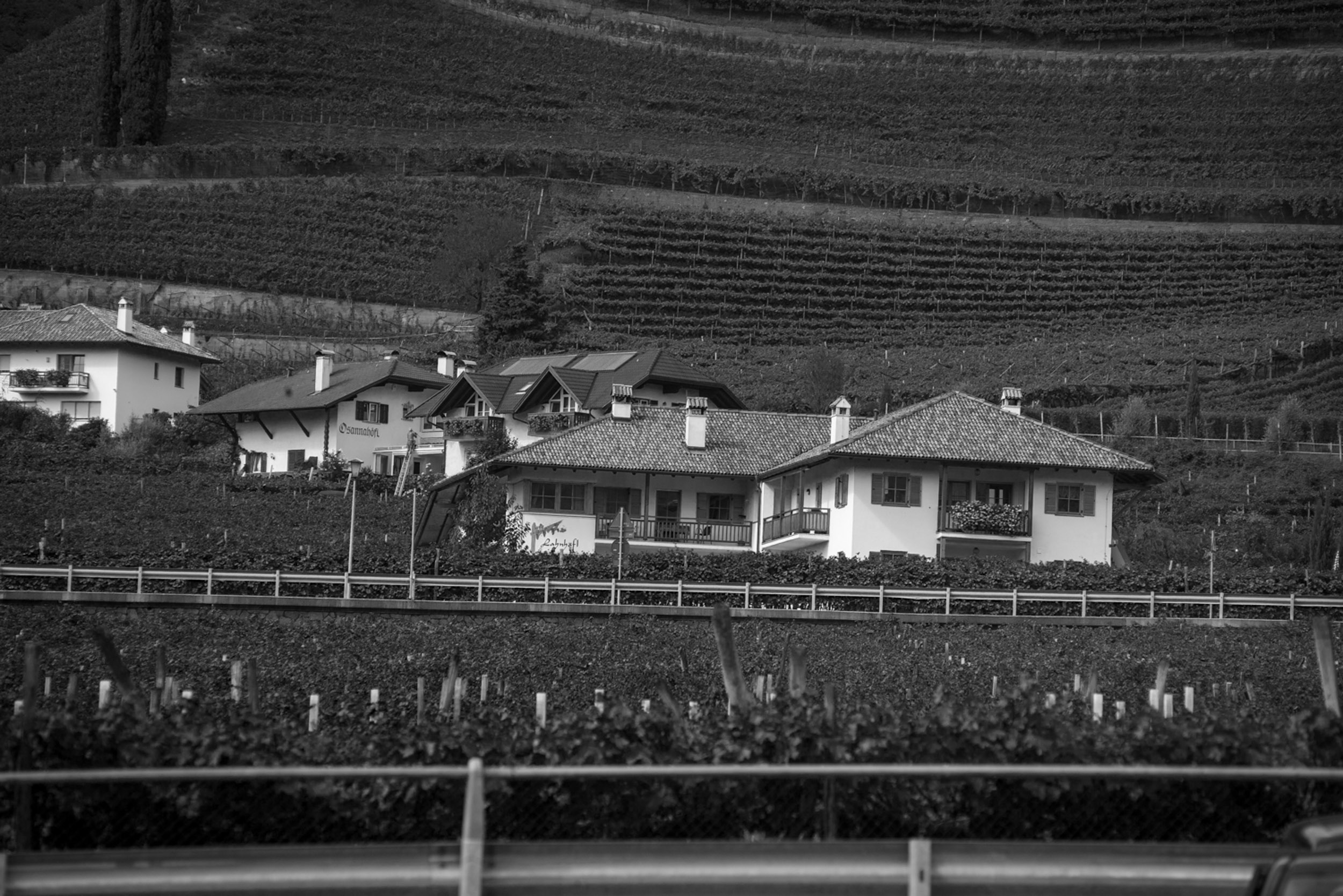 Salo B&W-2.jpg