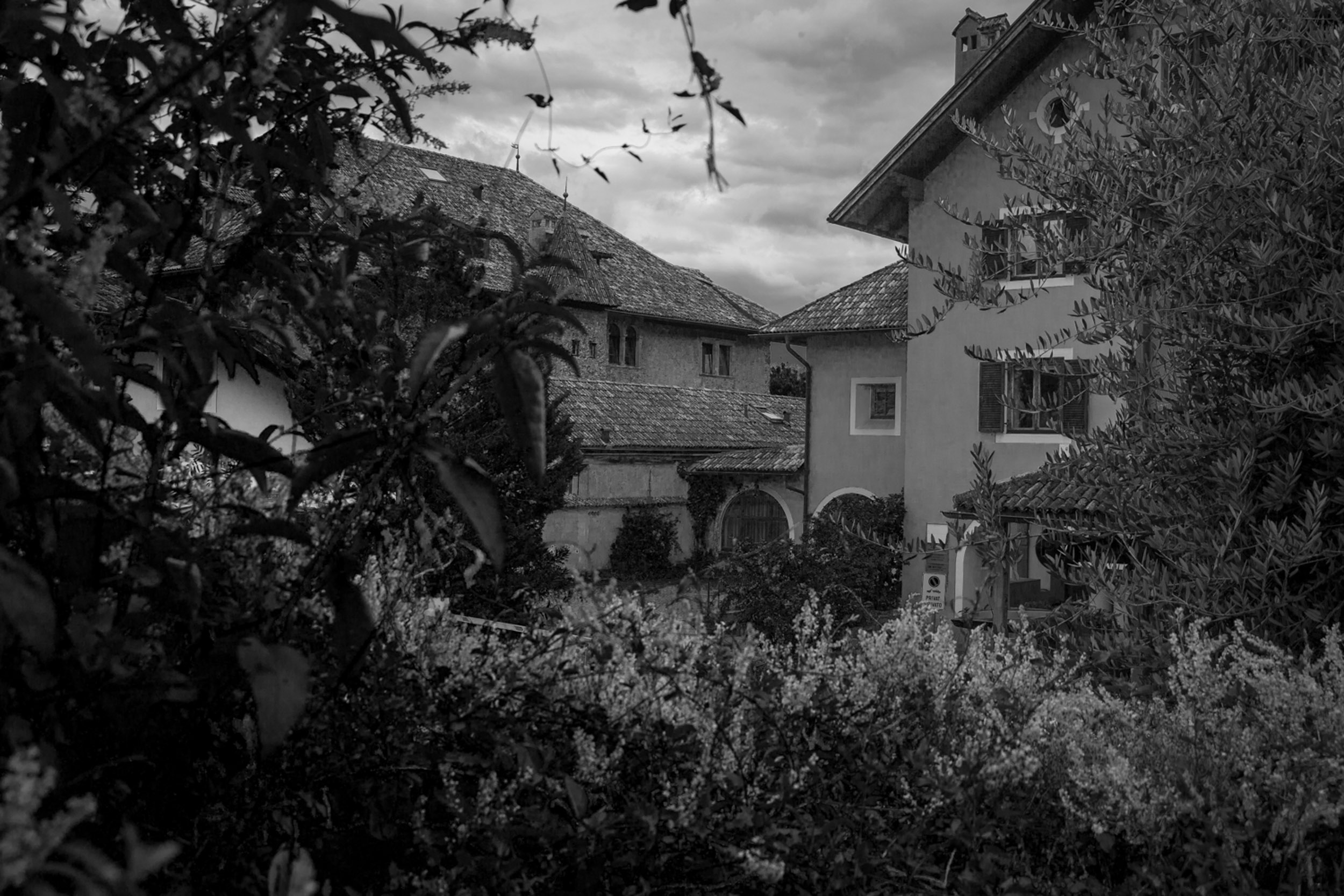 Salo B&W-21.jpg