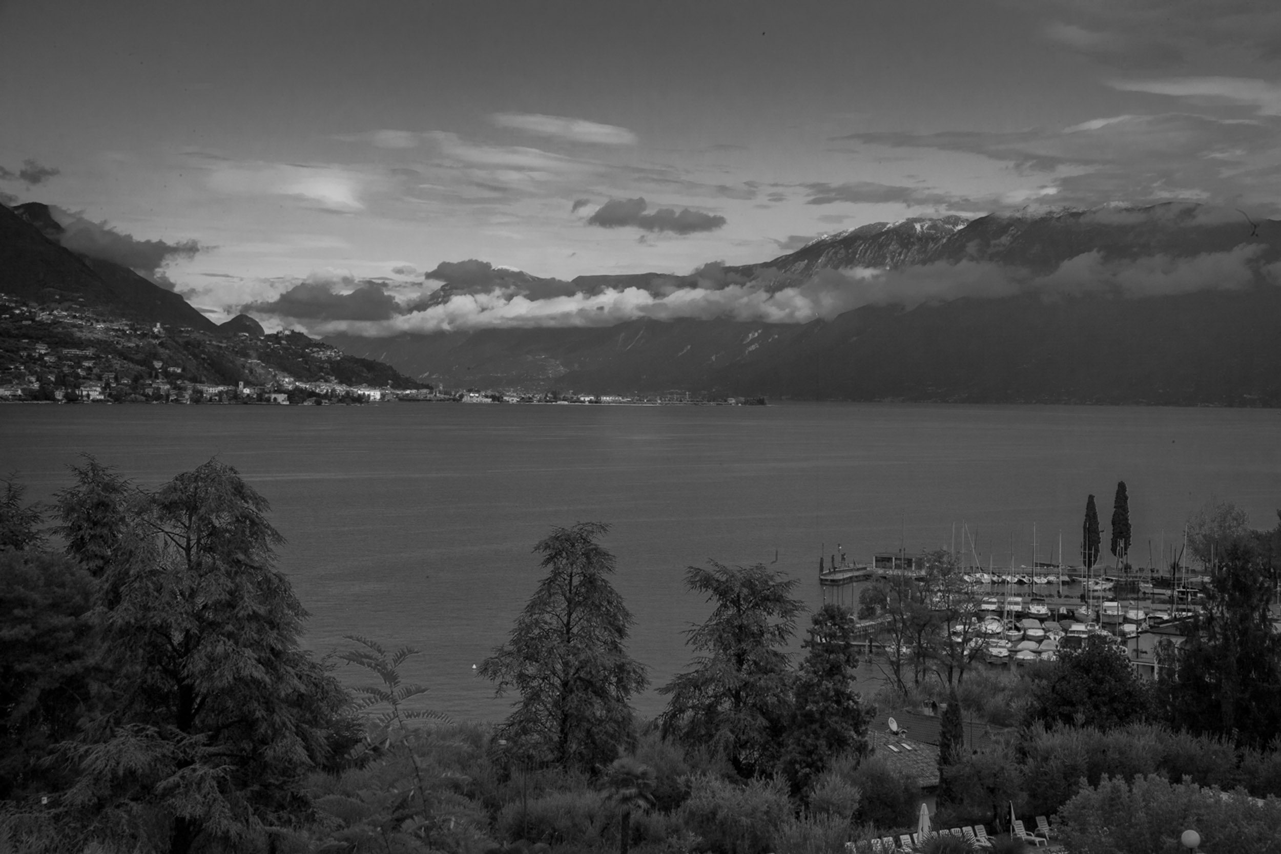 Salo B&W-27.jpg