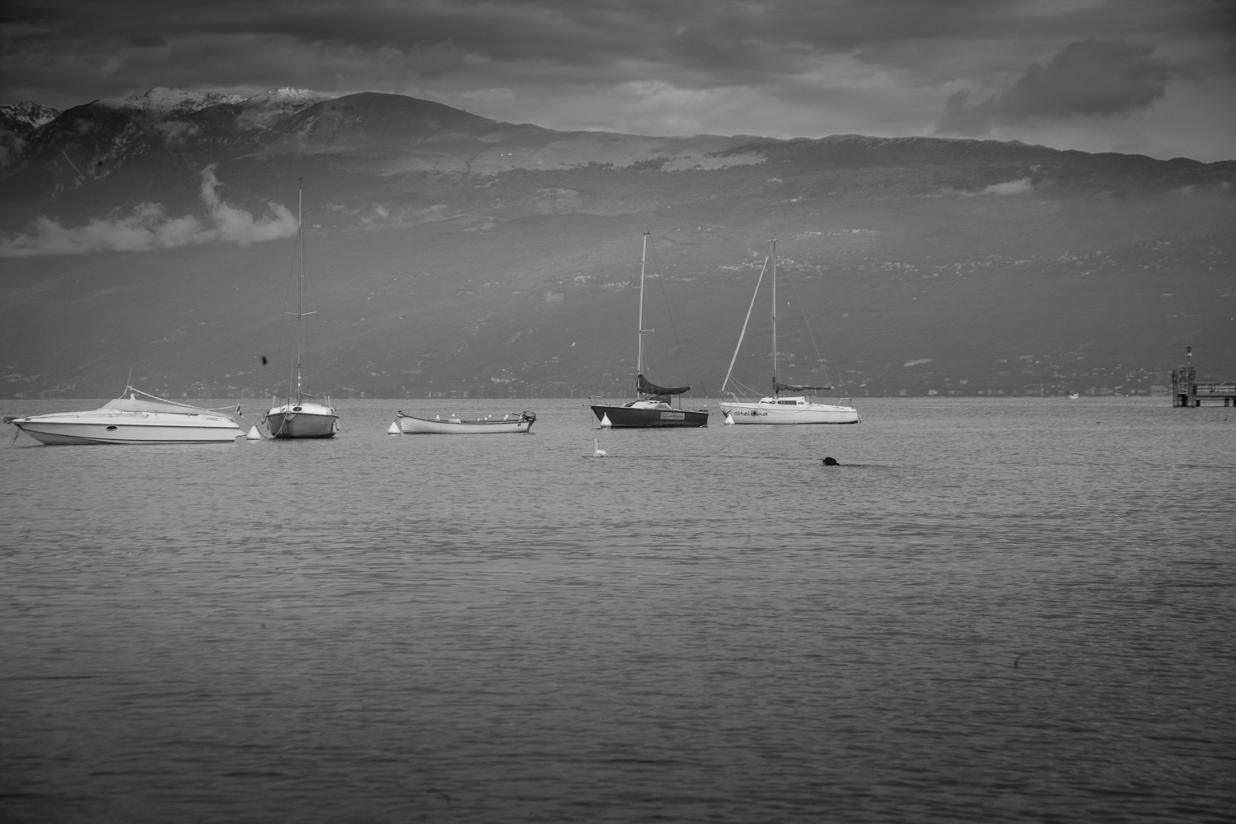Salo B&W-9.jpg