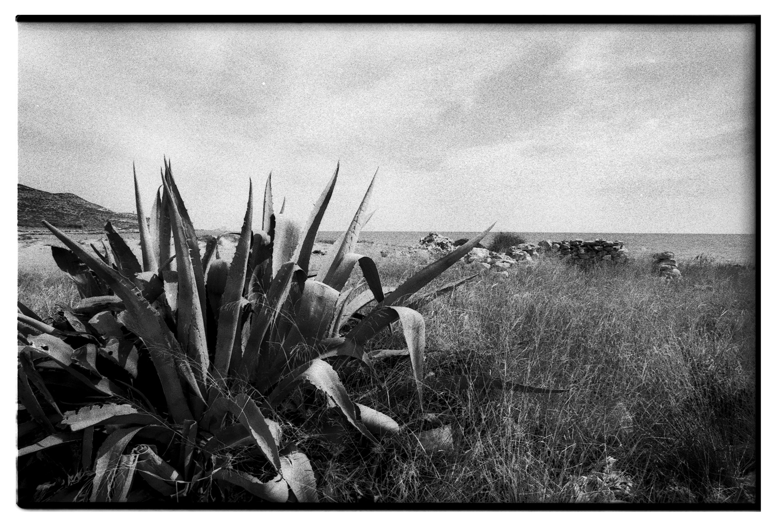 Spain | Streetphotography | Thomas Laubscher-Solingen-21.tif